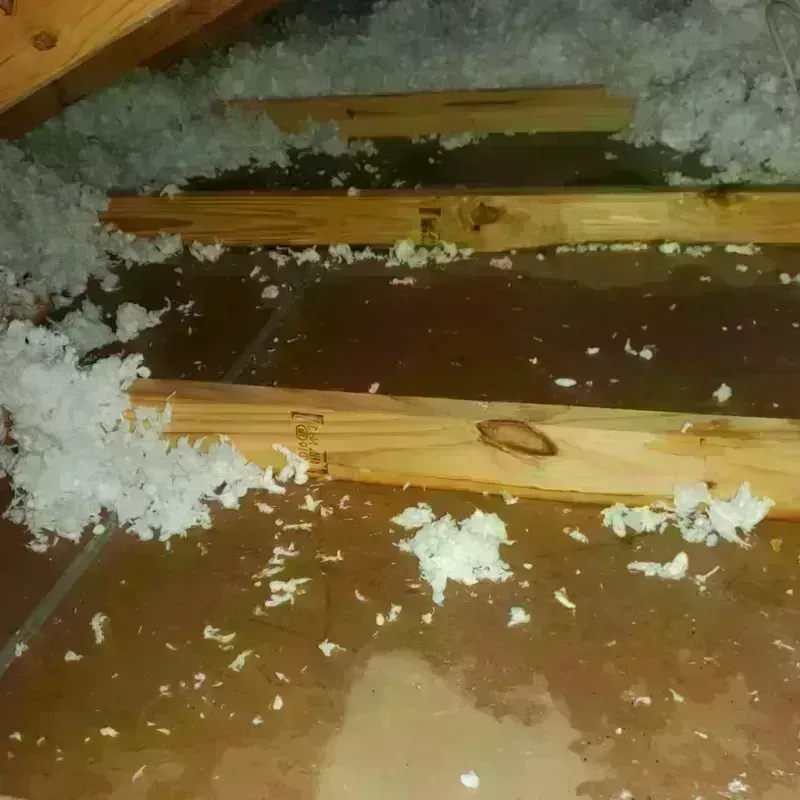 Attic Water Damage in Woodburn, IN