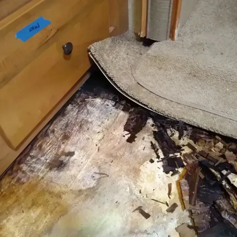 Wood Floor Water Damage in Woodburn, IN